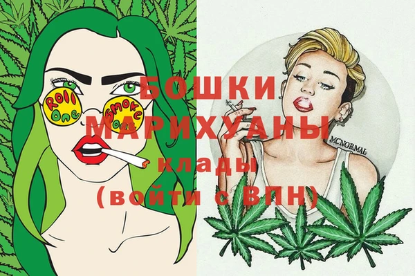 мдма Новодвинск
