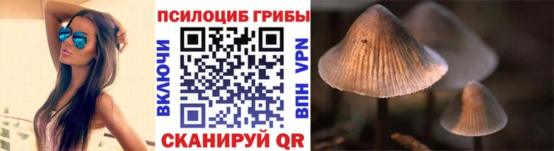 мега вход  где купить   Талдом  Галлюциногенные грибы GOLDEN TEACHER 